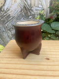 Mates Camioneros